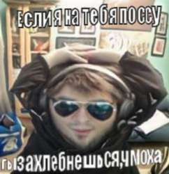 480x494