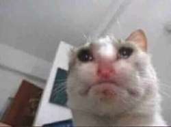 480x358