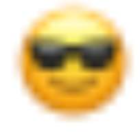 204x196