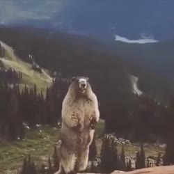 360x360