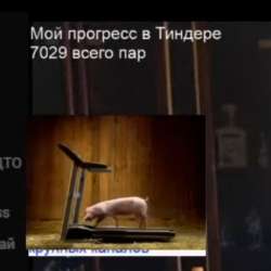 461x461