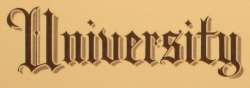 1139x401