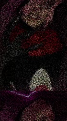 720x1280