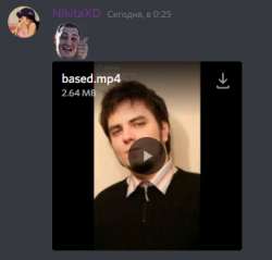 344x330