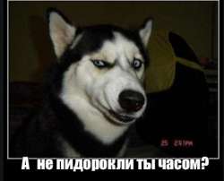 459x371