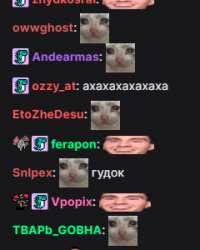 240x300