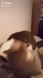 360x640