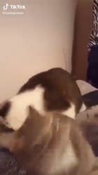360x640
