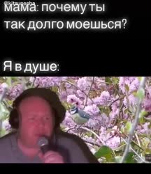 416x480