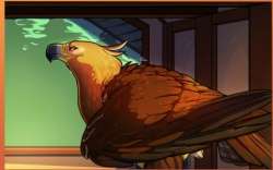 429x268