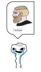 527x924