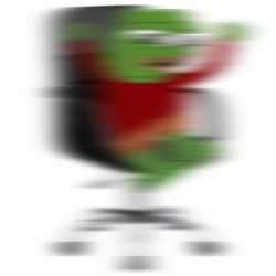 250x250