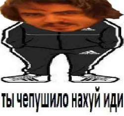 484x454