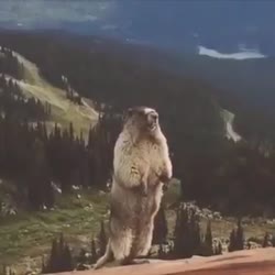 360x360