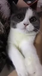 540x960