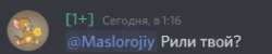 263x53
