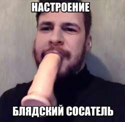 600x590