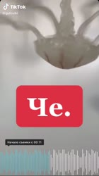 540x960