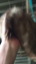 540x960
