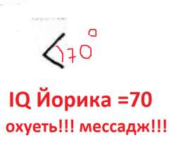 454x375
