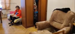 1036x478