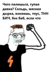 363x499