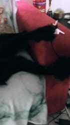 640x1136