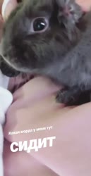 480x930