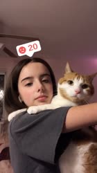 576x1024