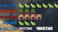 243x134