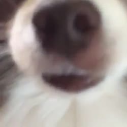 360x360