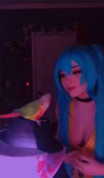 540x915