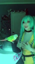 720x1280