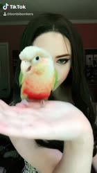 606x1080