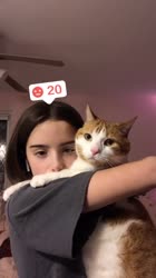 576x1024