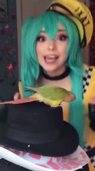576x1024