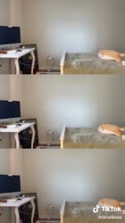 540x960