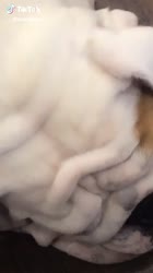 540x960