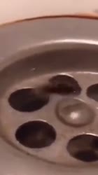 640x1138