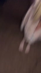720x1280