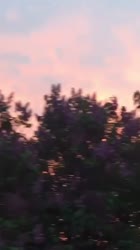 540x960