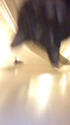 576x1024