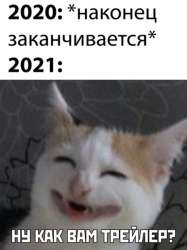550x734
