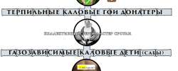 1163x466
