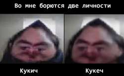 1147x705