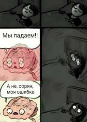 530x734