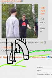 532x784