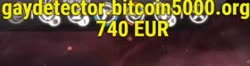 376x100