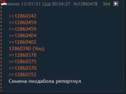 346x260