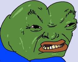 481x388